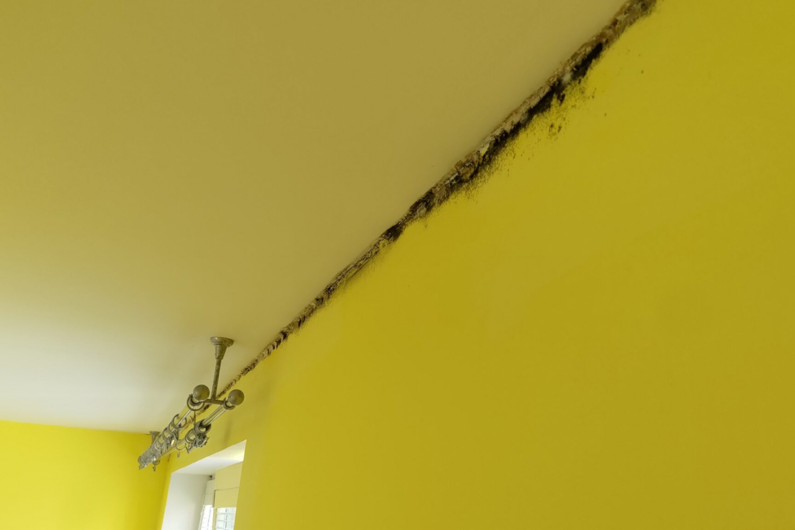 Elimination of mould in the apartment - ALPHA CZECH, Revolutionary reflective insulating coatings