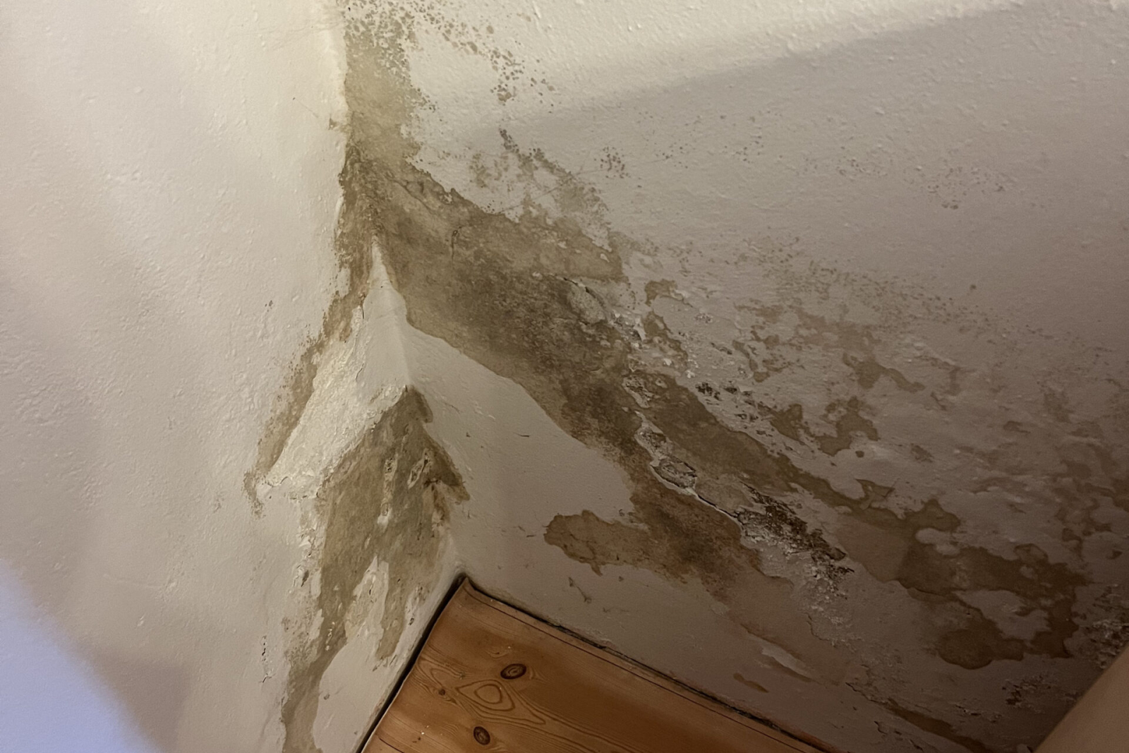 Likvidace plísní a snížení vlhkosti v domě z 19. století - Termoizolační nátěr pro tepelnou izolaci | ALPHA CZECH