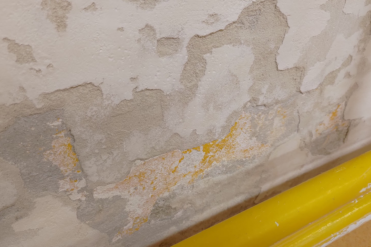 Usuwanie wilgoci na ścianie w szkole - ALPHA CZECH, Revolutionary reflective insulating coatings