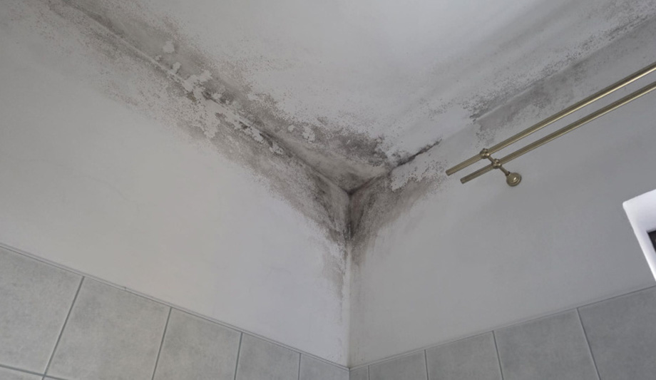 ALPHA CZECH – Inovativní materiálová řešení, energetický retrofit a sanace stavebních konstrukcí